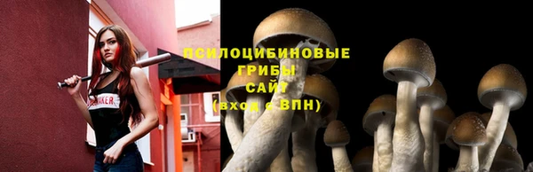 амф Волосово