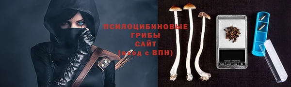 MDMA Premium VHQ Беломорск