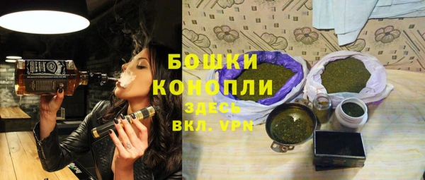 молекула духа Белокуриха