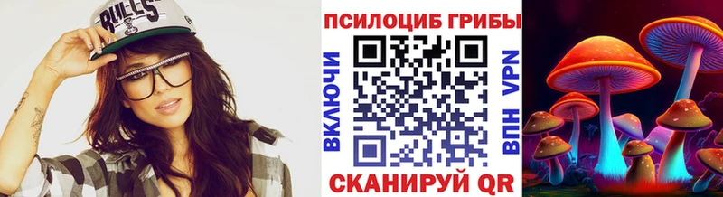 где купить Болохово Галлюциногенные грибы Magic Shrooms